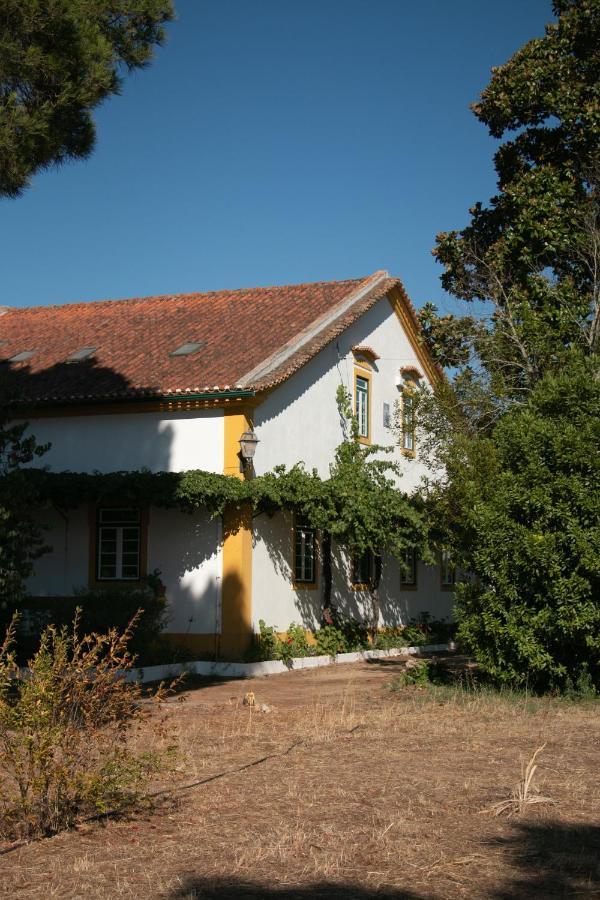 Quinta de SantAna da Várzea Abrantes Esterno foto