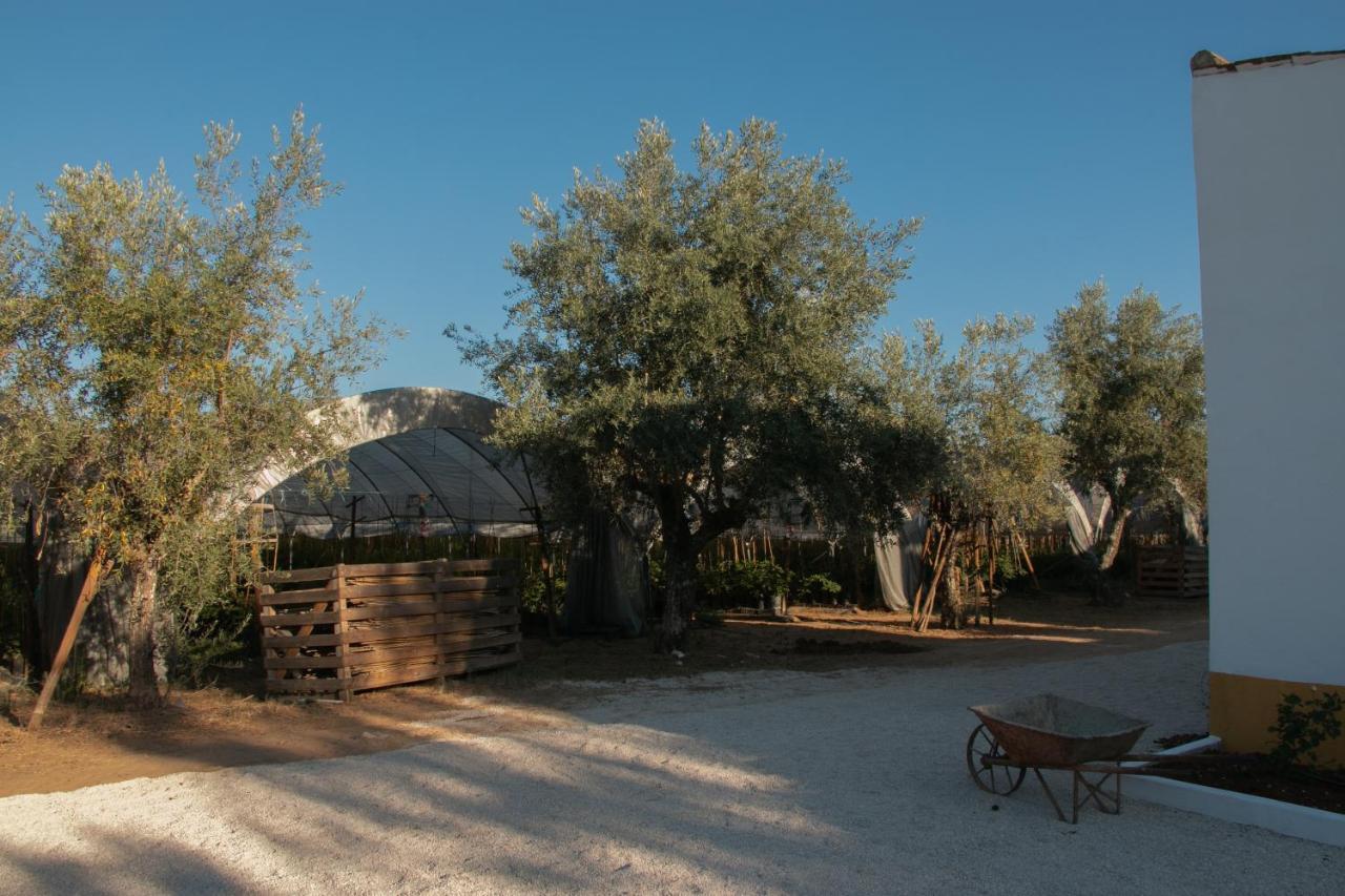 Quinta de SantAna da Várzea Abrantes Esterno foto