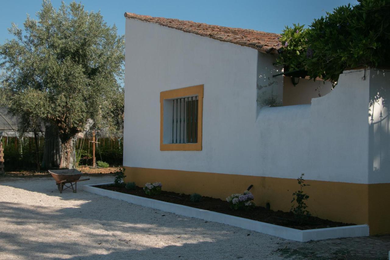 Quinta de SantAna da Várzea Abrantes Esterno foto