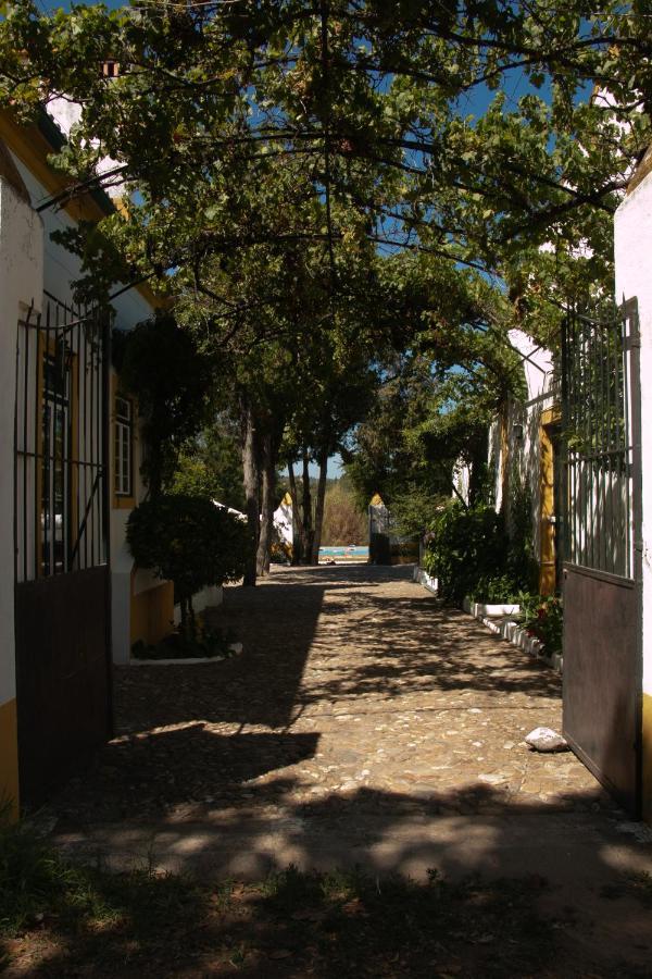 Quinta de SantAna da Várzea Abrantes Esterno foto