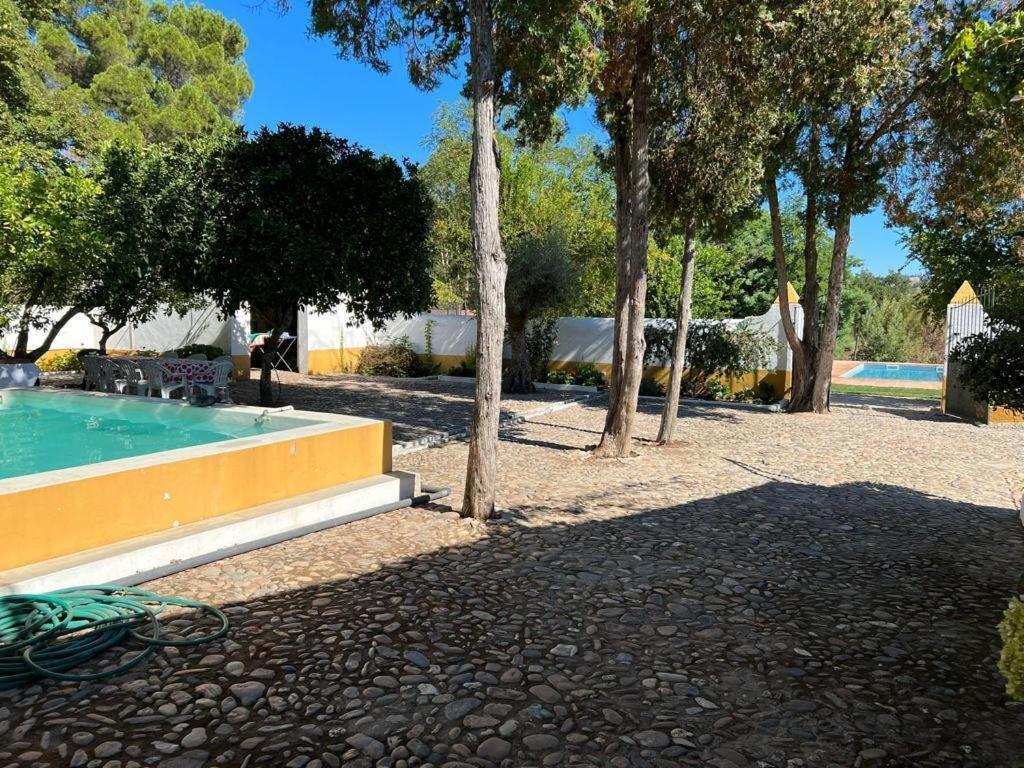 Quinta de SantAna da Várzea Abrantes Esterno foto