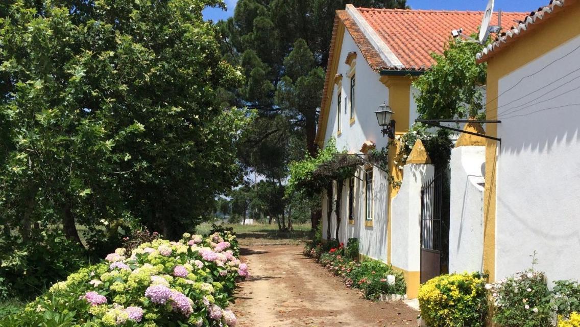 Quinta de SantAna da Várzea Abrantes Esterno foto
